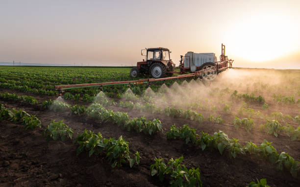 Pest Prevention Services in Landen, OH
