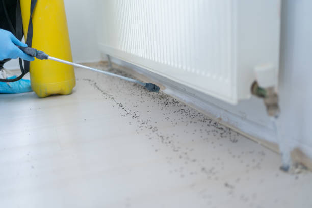 Best Insect Control  in Landen, OH