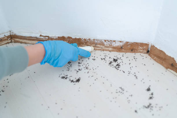 Best Bed Bug Extermination  in Landen, OH